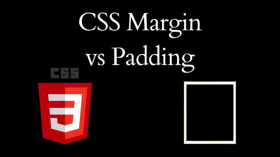CSS Margin vs Padding: Understanding the Difference